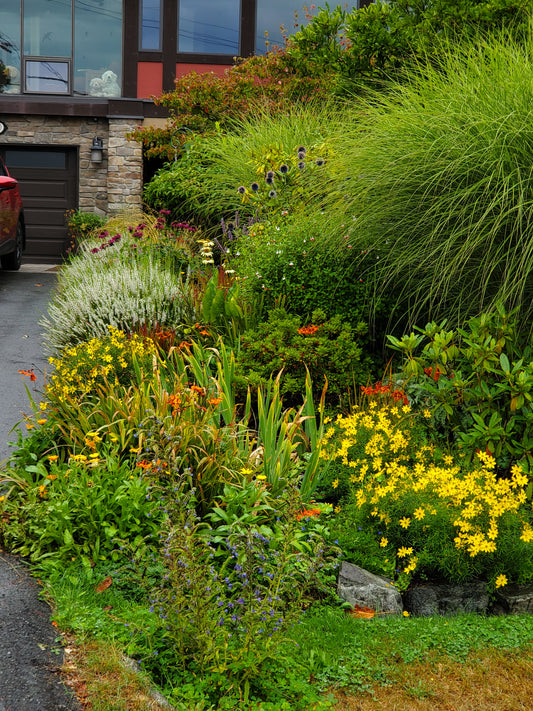 Designing a Garden