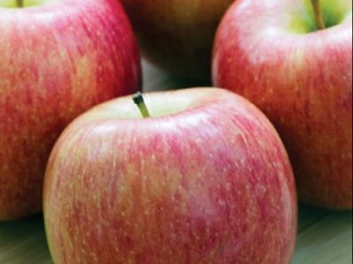 A very crisp texture, great fresh-eating apple that is sweet and has low acidity.