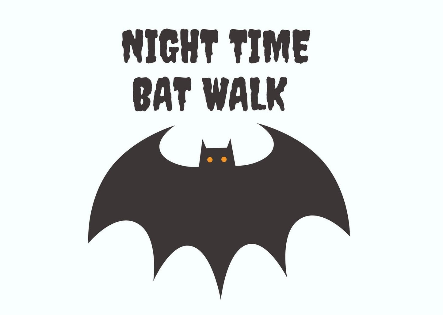 Night Time Bat Walk