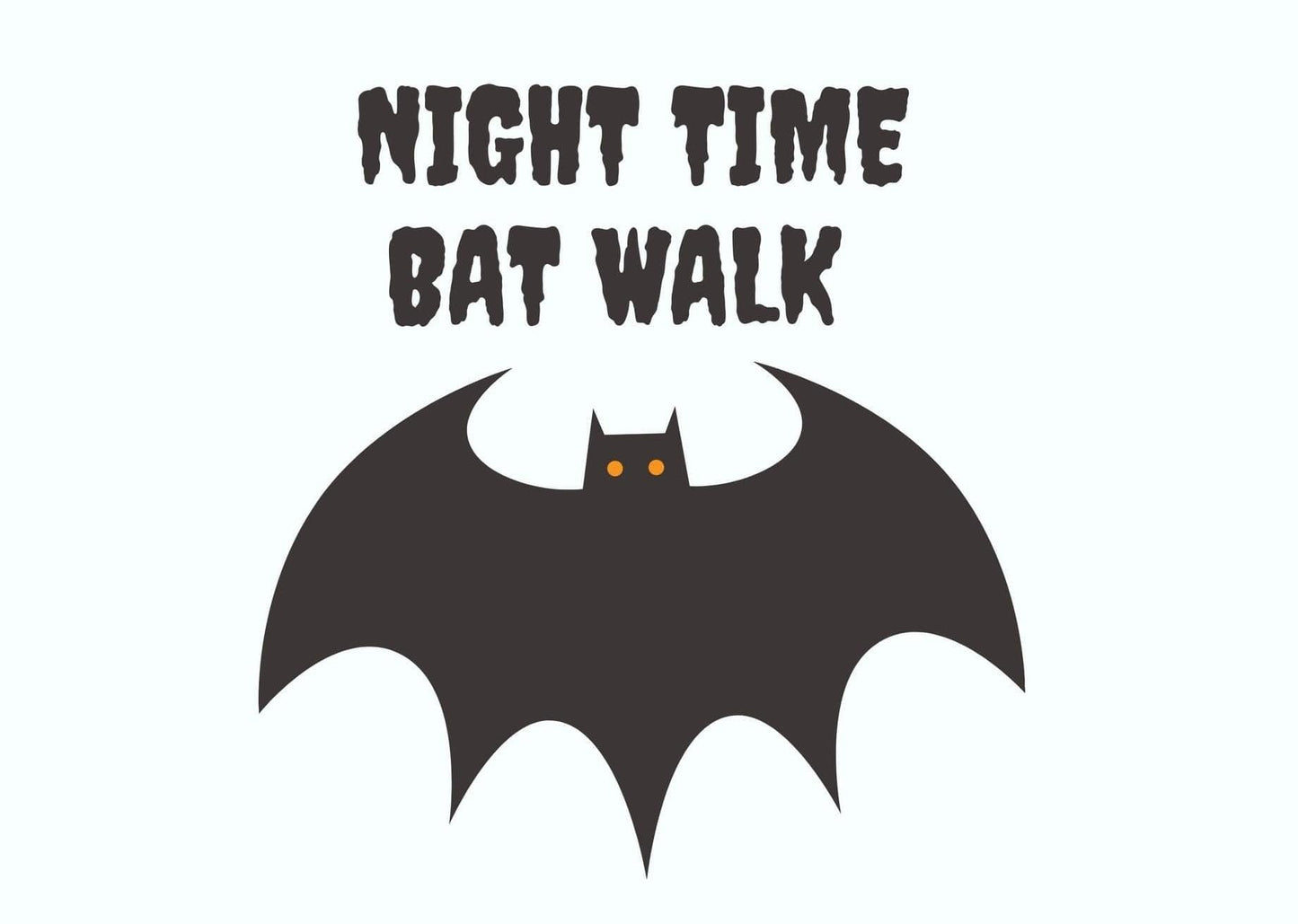 Night Time Guided Bat Walk