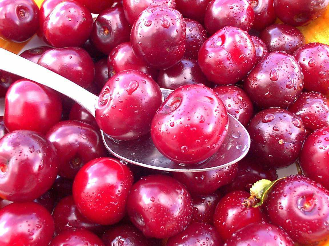 Cherry - Crimson Passion