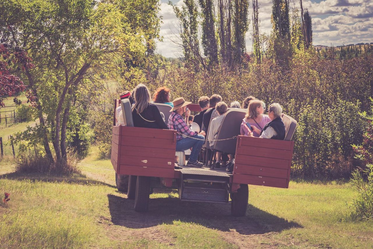 Open Farm Days