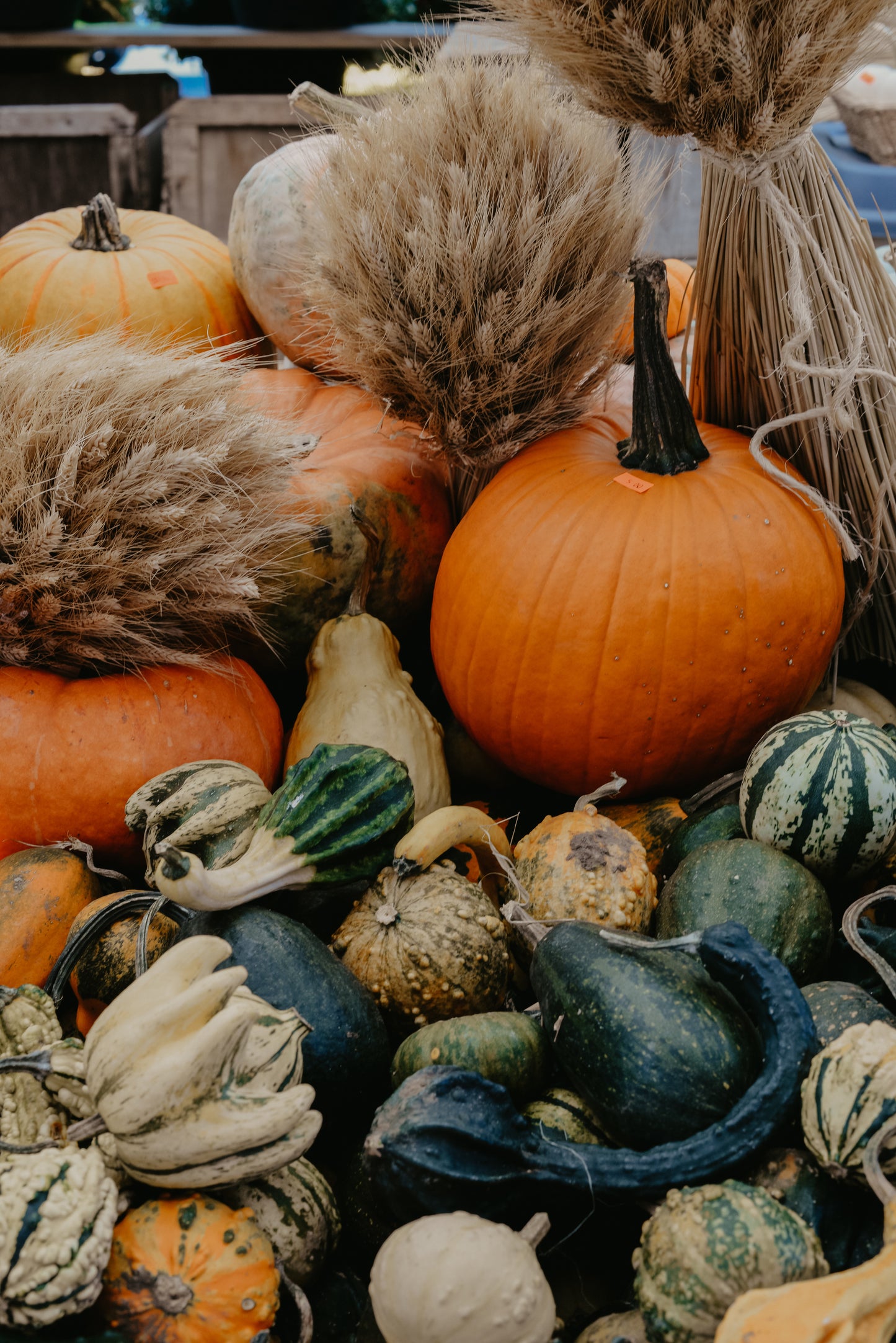 Harvest Dinner - September 26 6:30pm