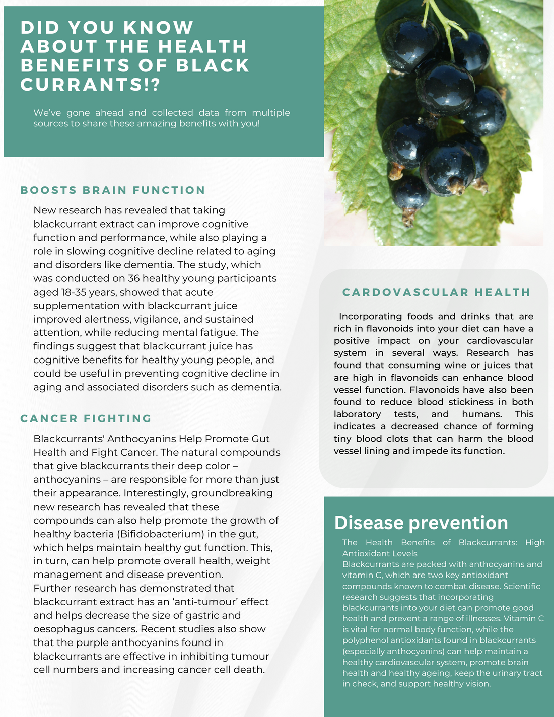 Health Benefits of Black Currants