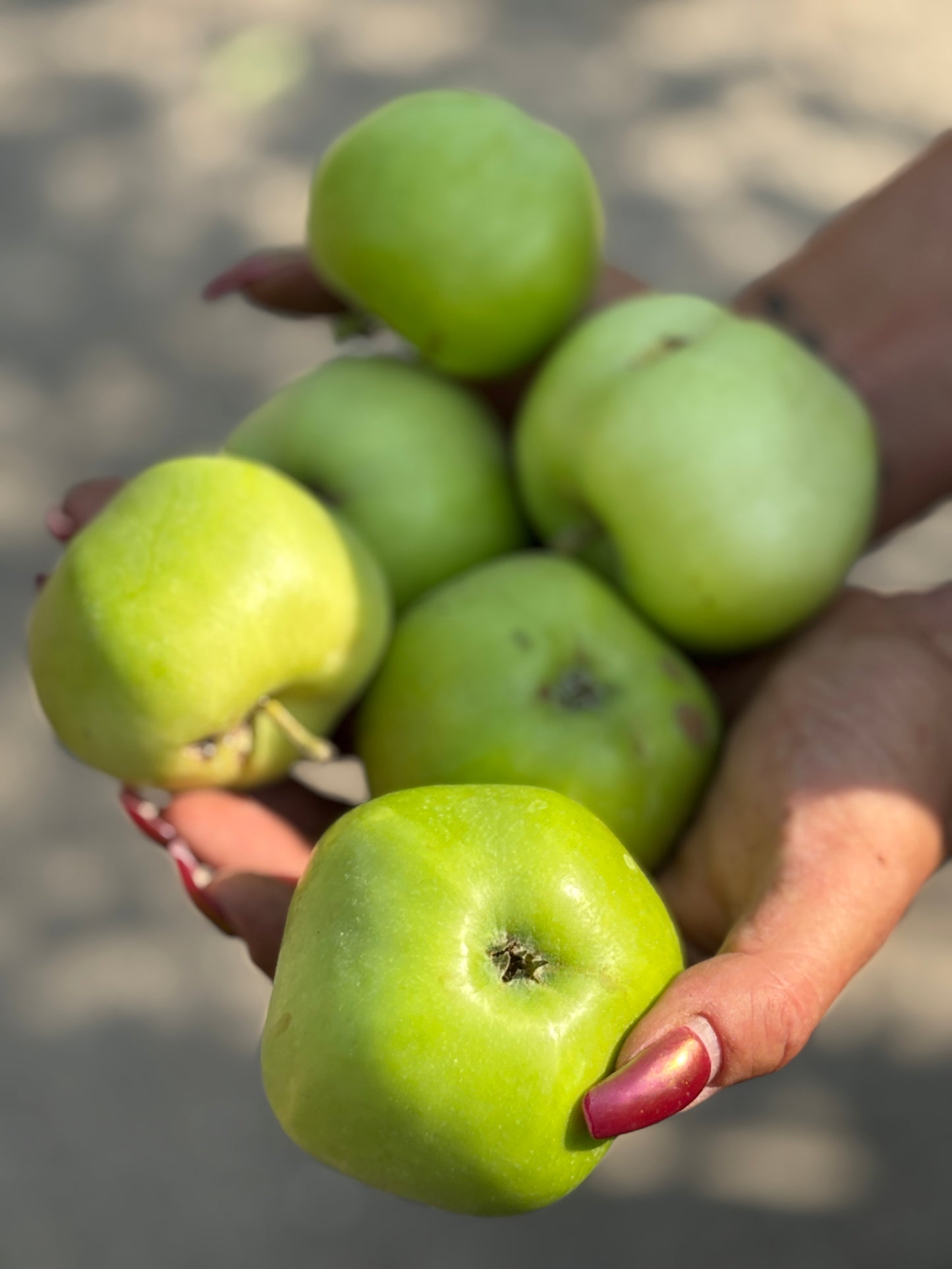 Apple - Carlos Queen