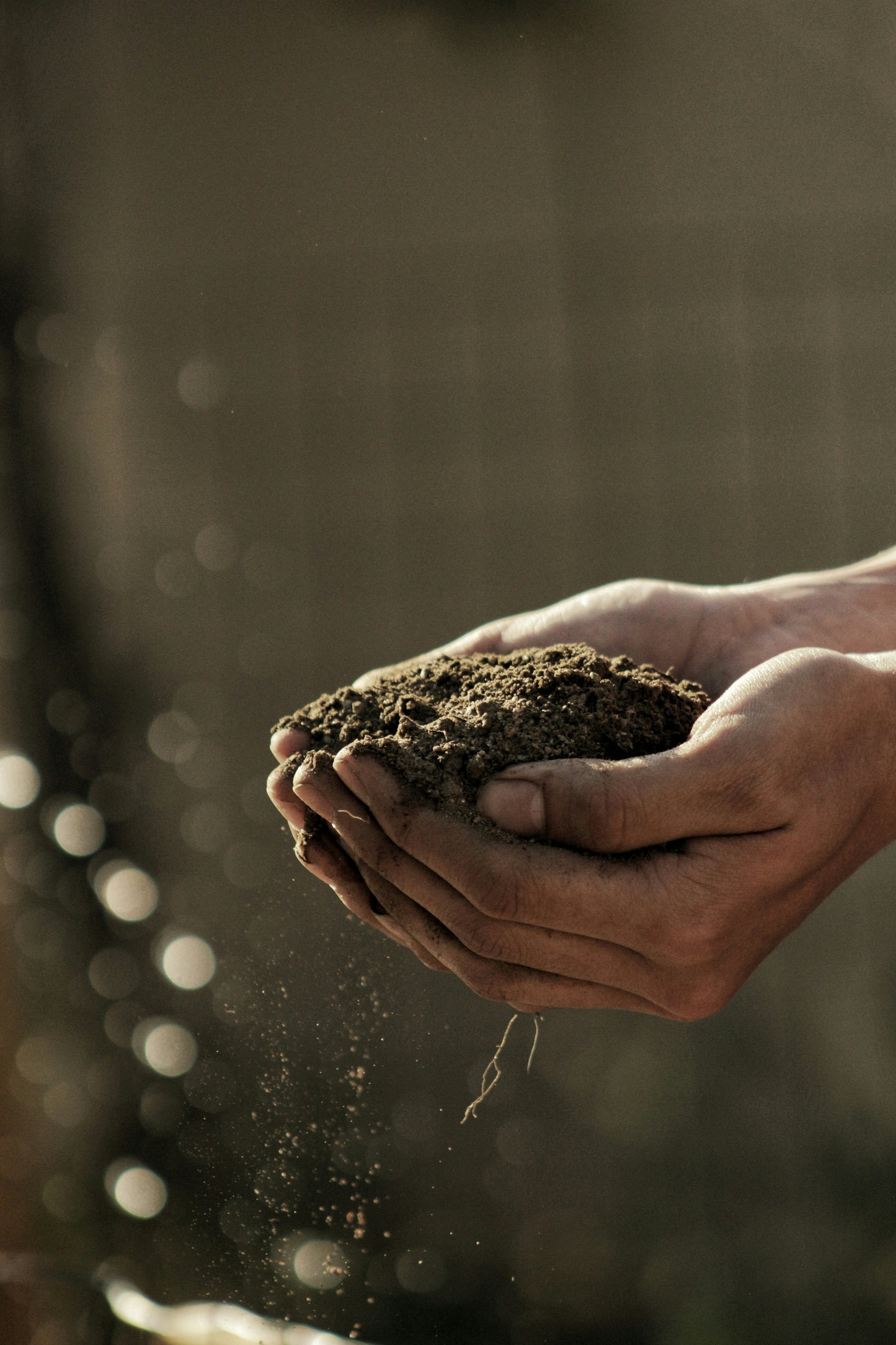 Composting 101