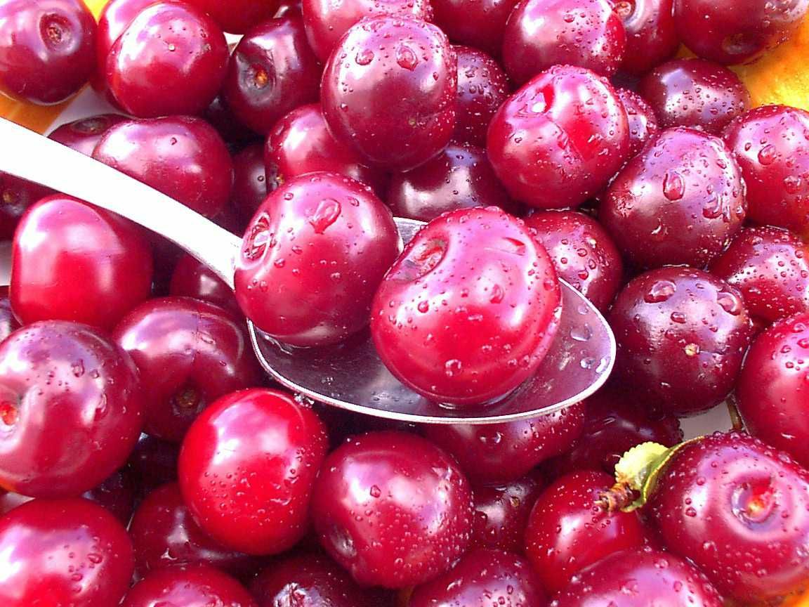 Sour Cherry - Porthos
