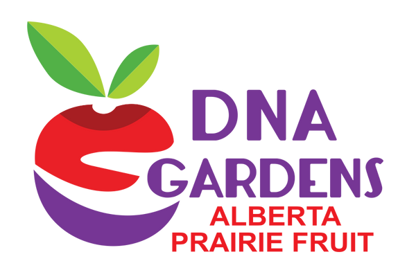 DNA Gardens
