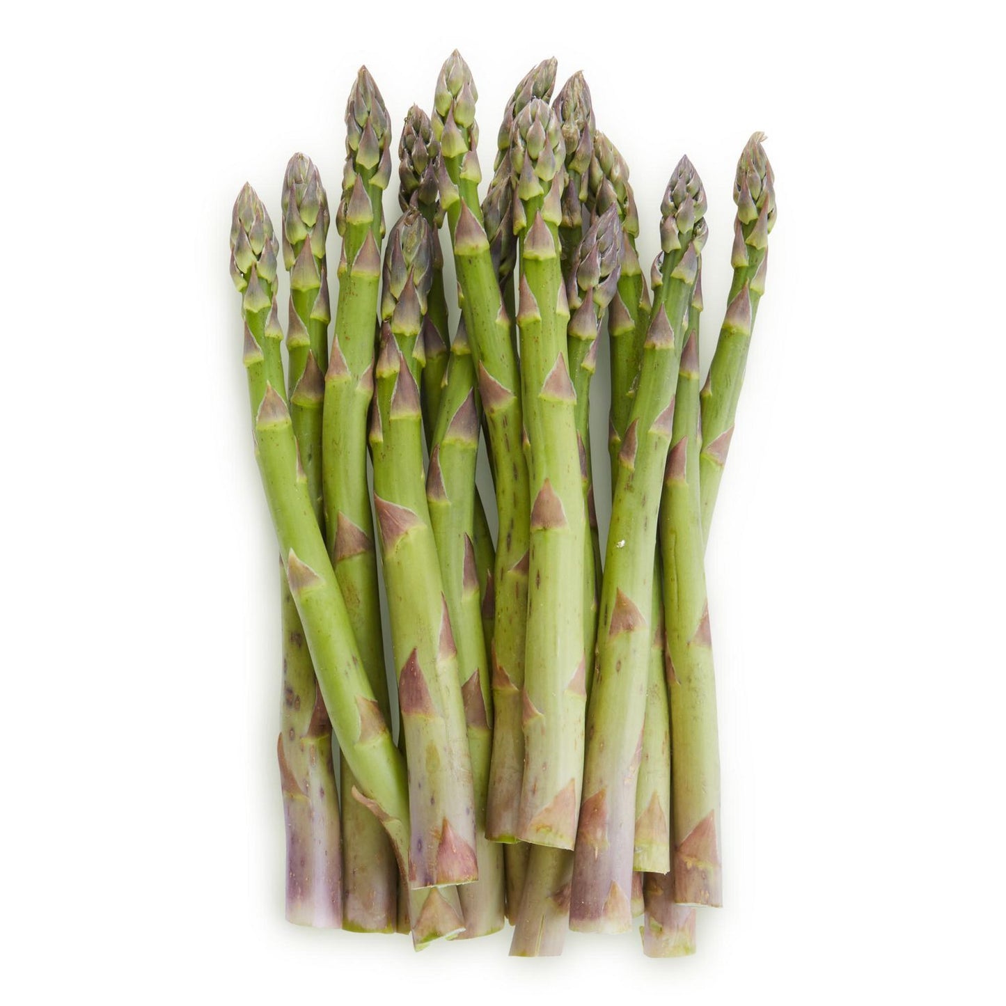Asparagus - Jersey Knight