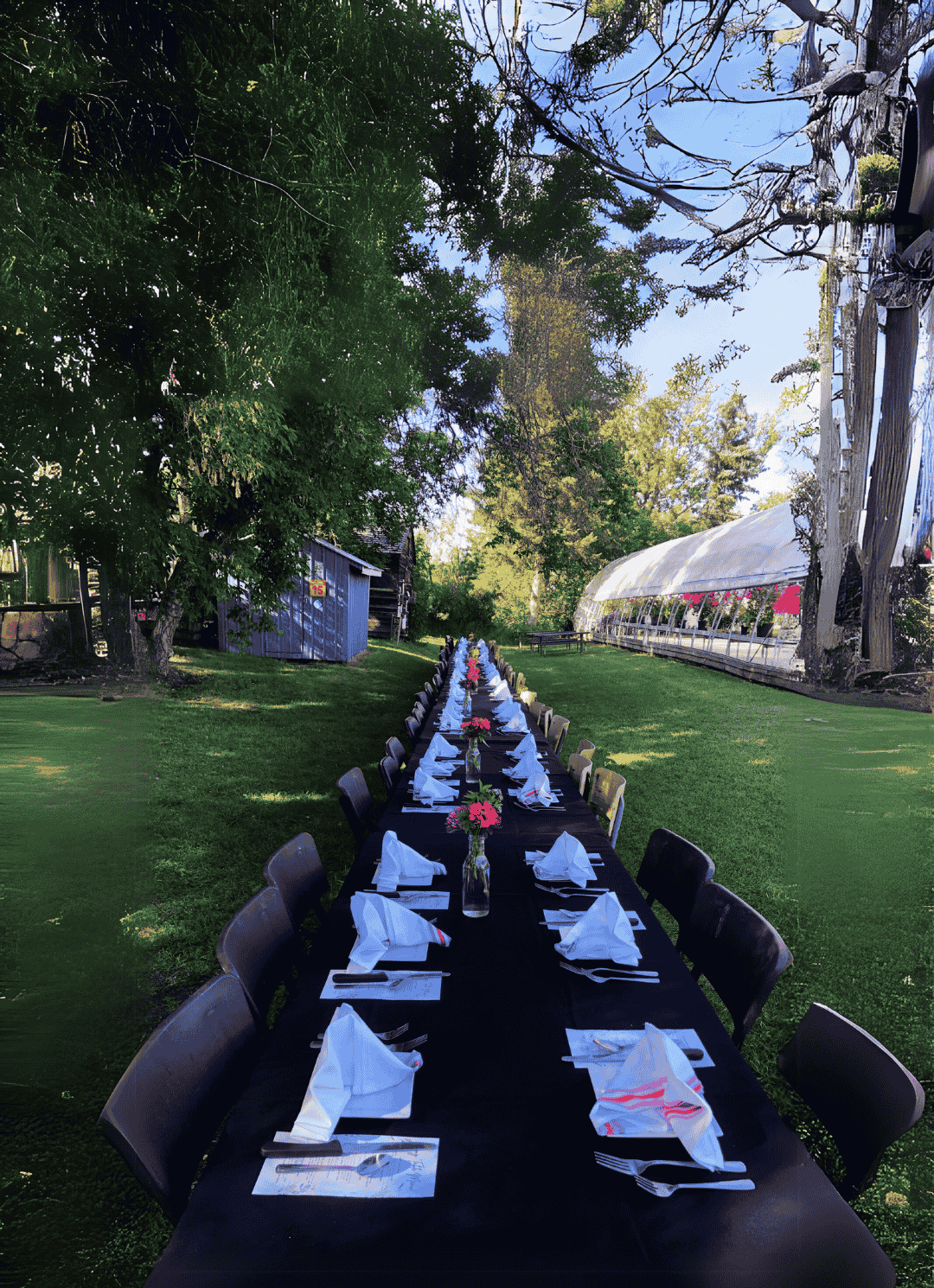 Long Table Dinner