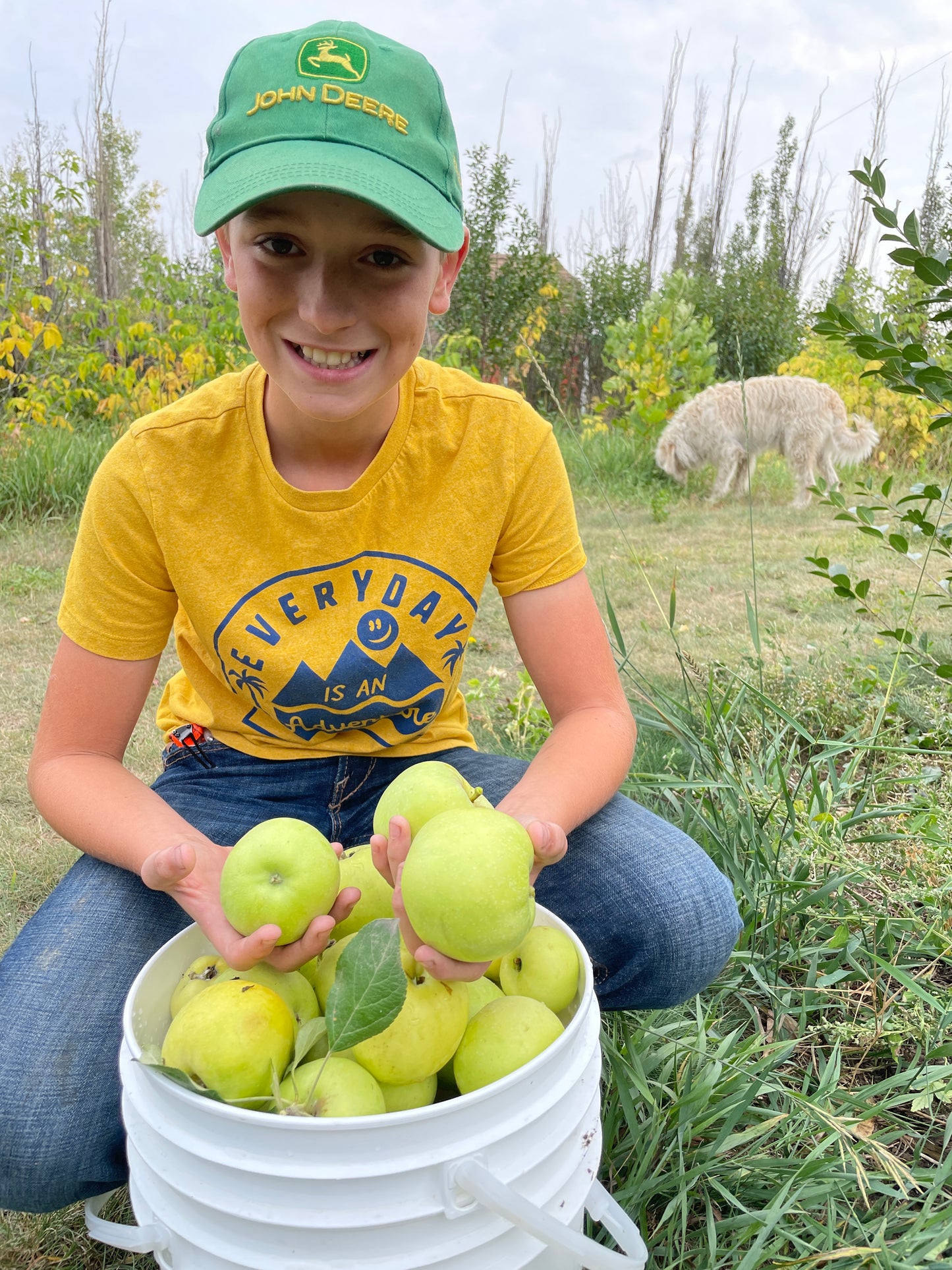Apple - Prairie Sensation